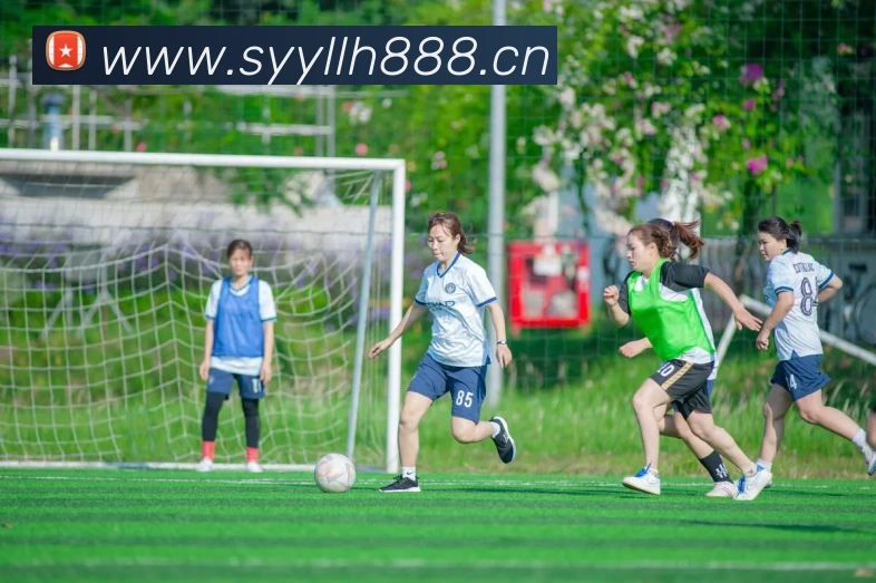 星空体育网页登录版服务体系